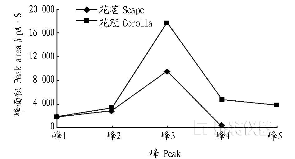 青花菜不同组织气相色谱图谱特征