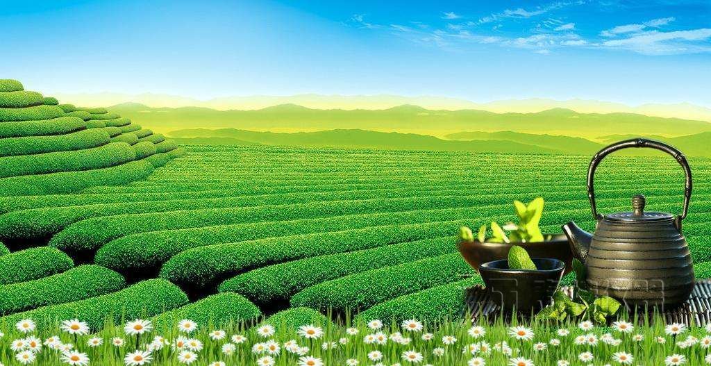 气相色谱-串联质谱法测定茶叶中32种杀菌剂残留