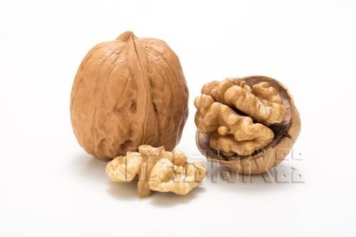 不同核桃贮藏前后油脂理化特性与脂肪酸气相色谱分析