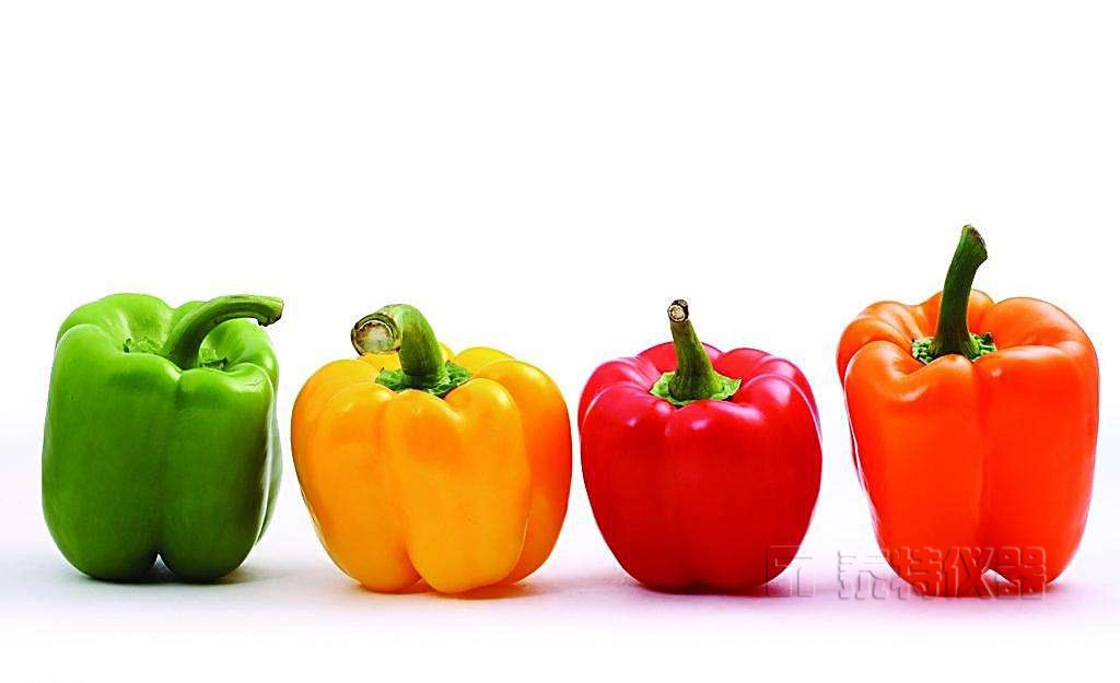 蔬菜中有机磷农药残留的气相色谱检测