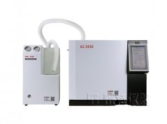 泰特GC2030气相色谱仪的电路系统